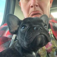 Will Macarro pouts as he holds his black French Bulldog puppy, Maude.